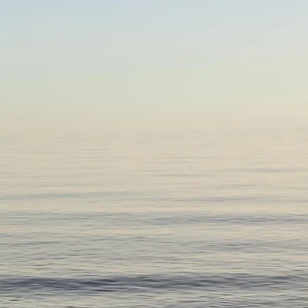 With Large Terrace, Swimming Pool And Areas, Next To Puerto Banus Marbella