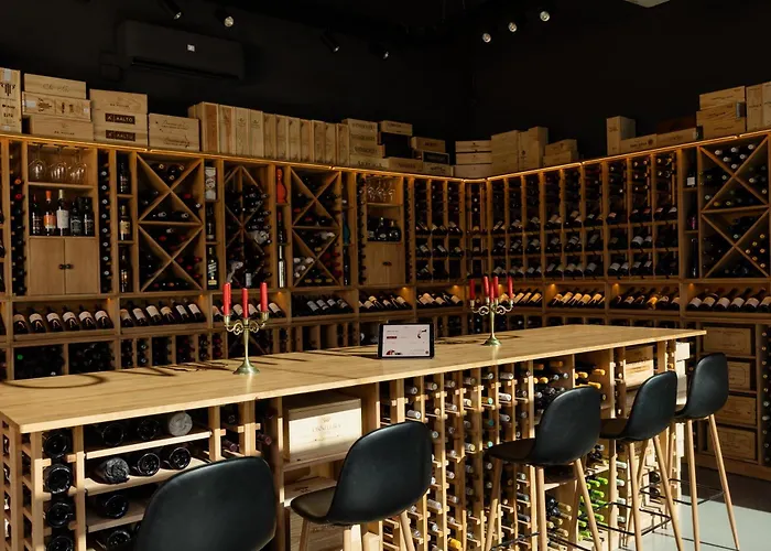 With Large Terrace, Swimming Pool And Areas, Next To Puerto Banus Apartament Marbella