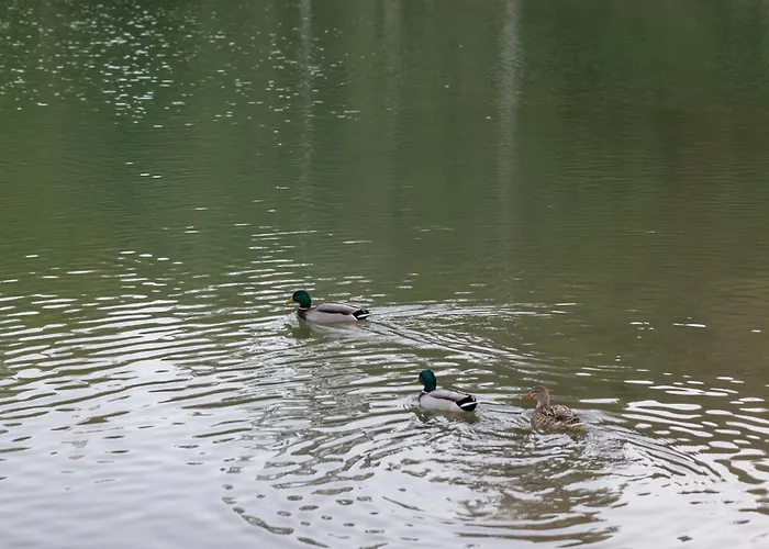 With Large Terrace, Swimming Pool And Areas, Next To Puerto Banus Apartament Marbella