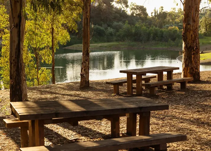 Apartament With Large Terrace, Swimming Pool And Areas, Next To Puerto Banus