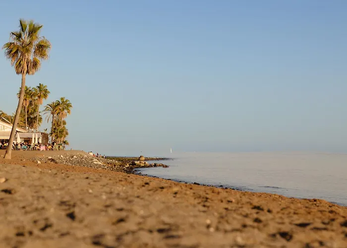 With Large Terrace, Swimming Pool And Areas, Next To Puerto Banus