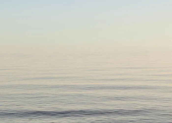 With Large Terrace, Swimming Pool And Areas, Next To Puerto Banus Marbella