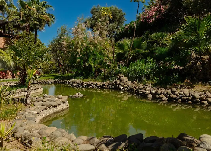 With Large Terrace, Swimming Pool And Areas, Next To Puerto Banus Apartament *